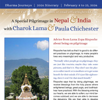 Downloadable Itinerary Brochure
